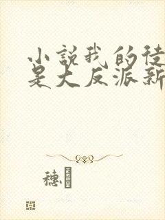 小说我的徒弟都是大反派新章节列表