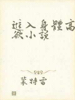 进入身体高潮情欲小说