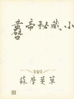 黄帝秘藏小说陈启封面