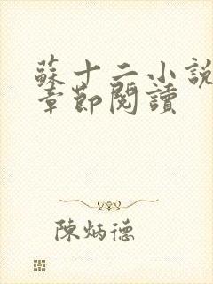 苏十二小说最新章节阅读封面