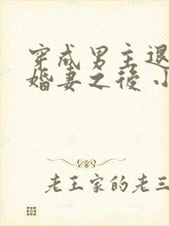 穿成男主退亲未婚妻之后 小说