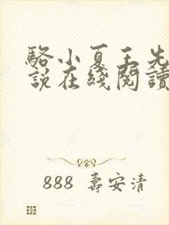 骆小夏王先生小说在线阅读封面