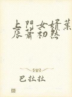 上门女婿叶辰叶辰萧初然封面