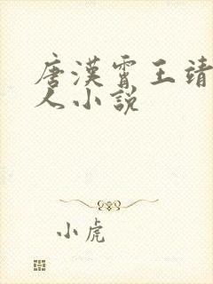 唐汉霄王靖雯同人小说封面