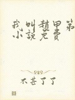 我叫赵甲第原著小说免费