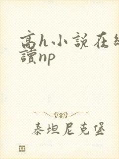 高h小说在线阅读np