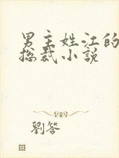 男主姓江的现代总裁小说