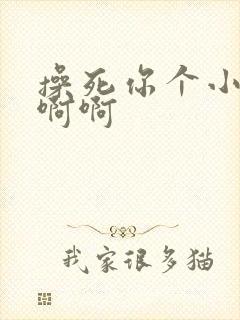 操死你个小骚货啊啊