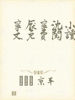 宁厌宁沈小说全文免费阅读