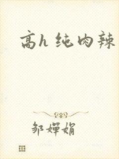 高h 纯肉辣文