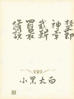 修罗武神楚枫小说最新章节阅封面