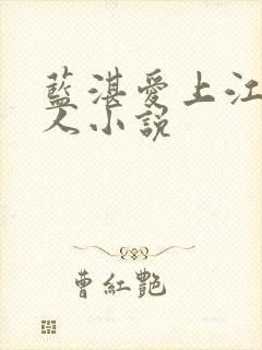 蓝湛爱上江澄同人小说封面