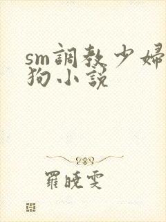 sm调教少妇母狗小说