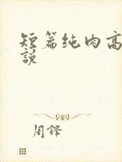 短篇纯肉高h小说