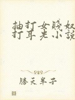 抽打女贱奴双乳打耳光小说