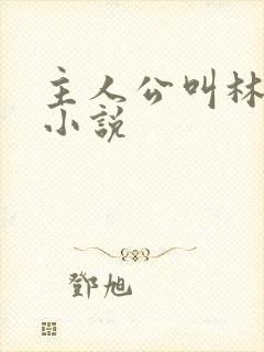 主人公叫林晚的小说