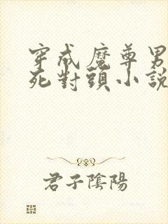 穿成魔尊男主的死对头小说