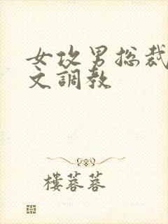 女攻男总裁sp文调教封面