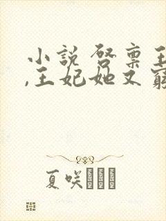 小说 启禀王爷,王妃她又穷疯了封面