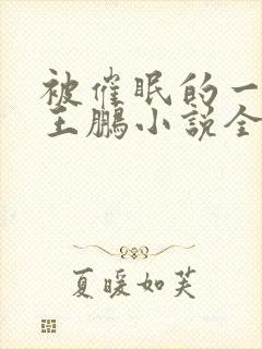 被催眠的一家人王鹏小说全文阅读无封面