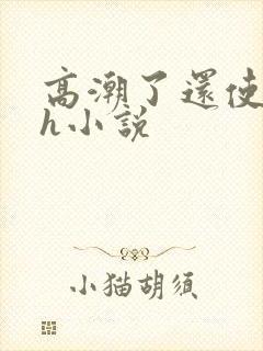 高潮了还使劲顶h小说