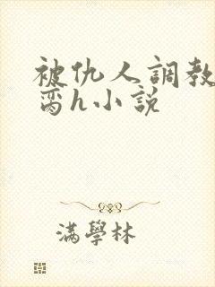 被仇人调教成禁脔h小说封面