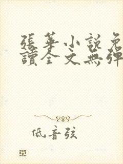 张华小说免费阅读全文无弹窗