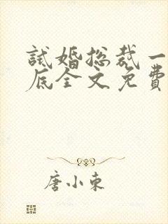 试婚总裁一宠到底全文免费阅读