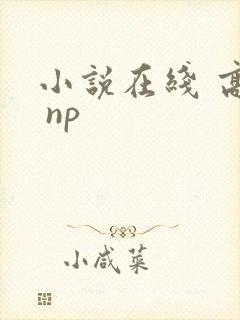 小说在线 高h np