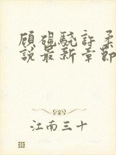 顾砚骁许柔汐小说最新章节更新时间