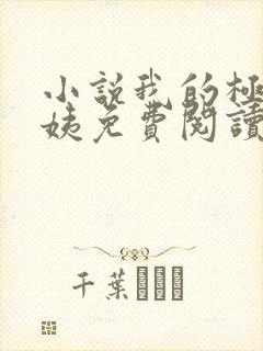 小说我的极品小姨免费阅读