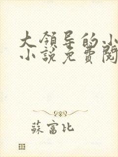 大领导的小妻子小说免费阅读