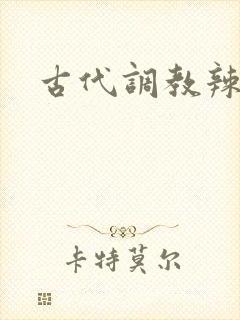 古代调教辣文封面