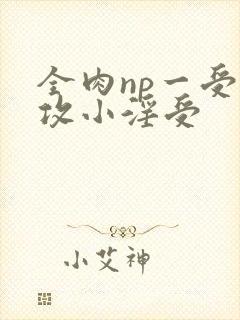 全肉np一受多攻小淫受封面