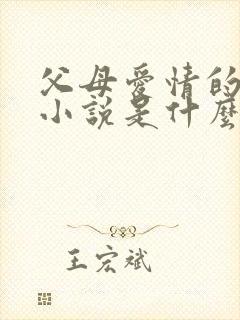 父母爱情的原著小说是什么