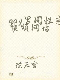gay男同性恋视频网站封面