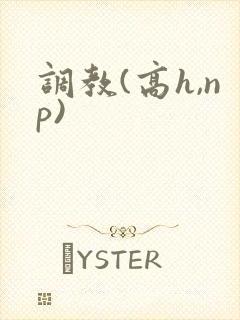 调教(高h,np)