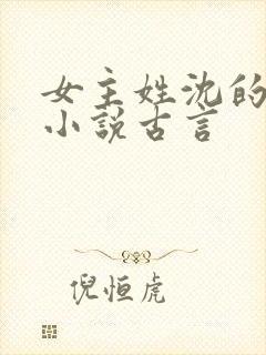 女主姓沈的重生小说古言