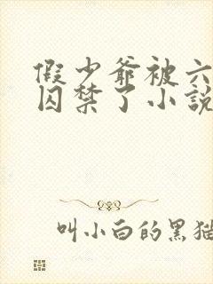 假少爷被六个哥囚禁了小说