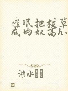 催眠把校草调教成肉奴高h小说封面