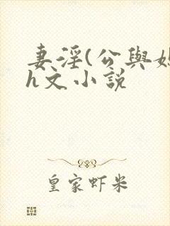 妻淫(公与媳)h文小说封面