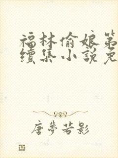 福林偷娘第三部续集小说免费阅读无