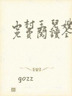 山村玉儿嫂小说免费阅读全文最新章封面