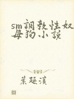 sm调教性奴隶母狗小说