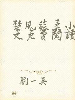 楚风苏柔小说全文免费阅读