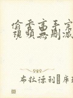 偷香高手完整版视频无删减