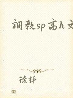 调教sp高h文