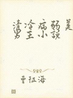 清冷病弱美人双男主小说