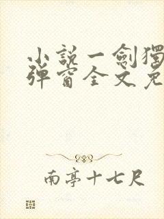 小说一剑独尊无弹窗全文免费阅读封面