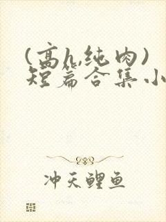 (高h,纯肉)短篇合集小说